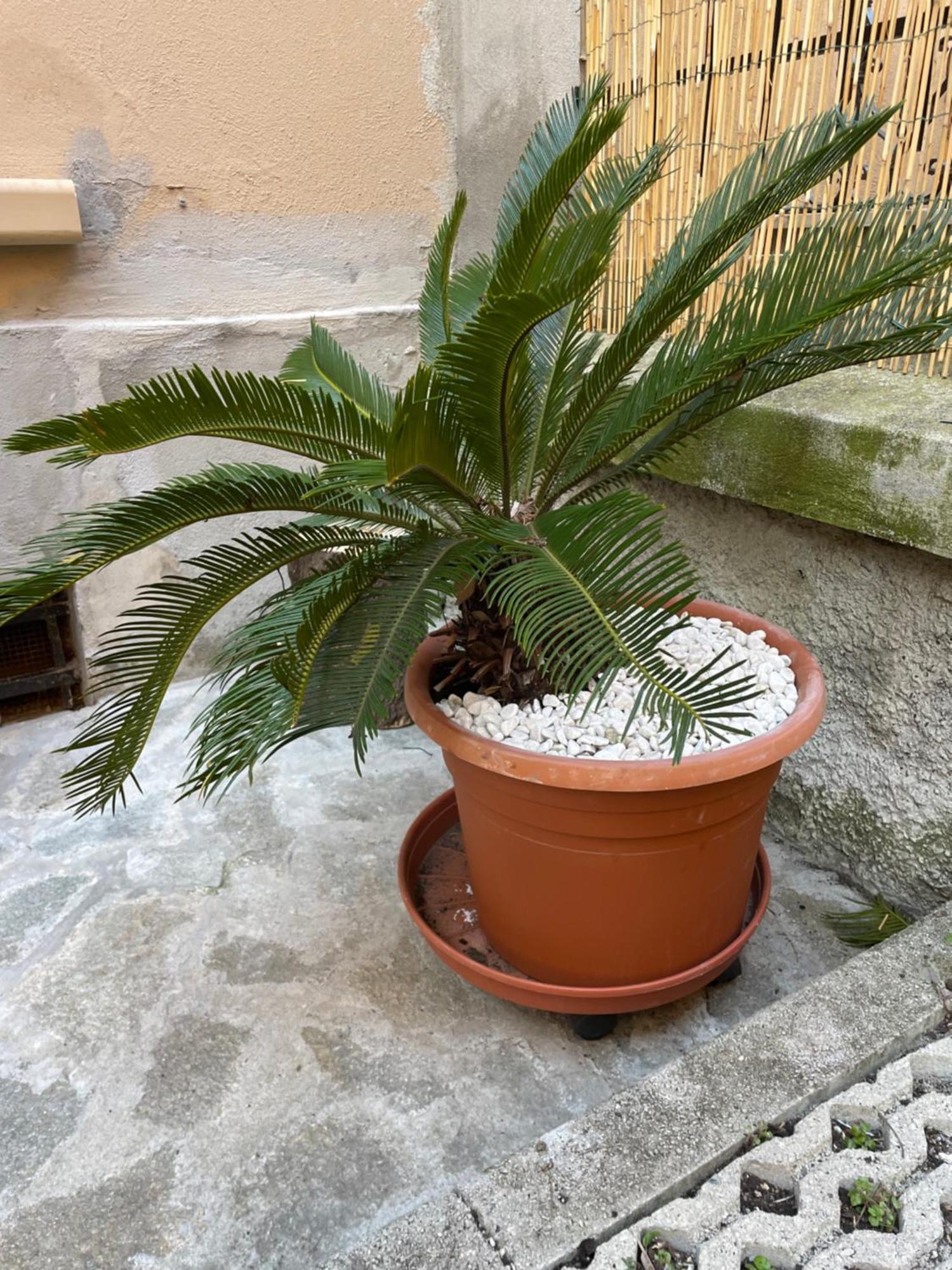 Apartment Goa Sea - Foce Genua